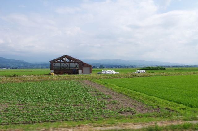 鶴岡方面へ、日本有数の穀倉地帯、豊かな田園風景の庄内平野を行く。