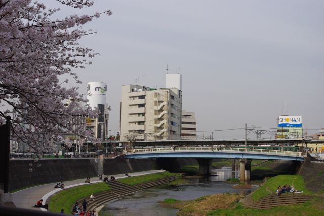 振り返ると川を跨ぐ戸塚駅。