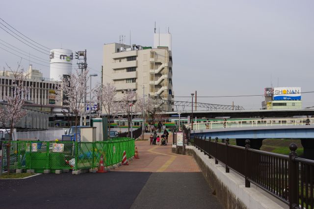 戸塚駅へ戻っていきます。途中には桜並木の続きのように桜の木を植樹していました。