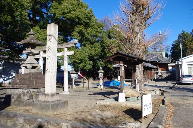 南側に住宅街の中に織田信康築城の木ノ下城跡の愛宕神社があります。