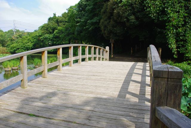 T字路を過ぎると福岡城跡の区域、追廻門跡を横切り池の橋を渡る。