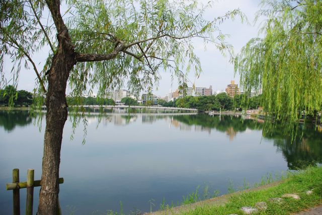 公園内は大きな池が広がります。