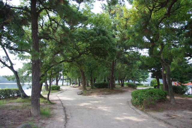 柳島は心地よい木々で暑さもしのげる。
