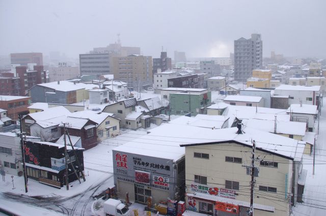 ホテルから函館市街地の様子。一面が雪です。