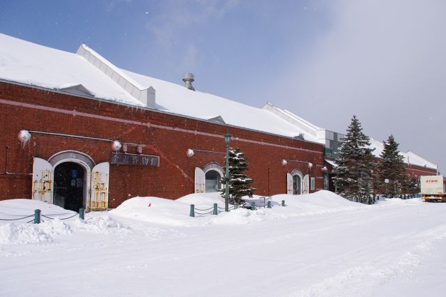金森赤レンガ倉庫へ。白い雪の中に映えるレンガ造りの倉庫。