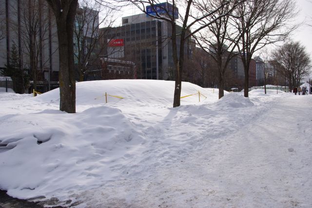 大通公園は厚い雪に覆われていて少し歩きにくい。