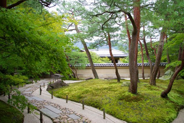 茶室寿立庵付近の緑が心地よい空間。