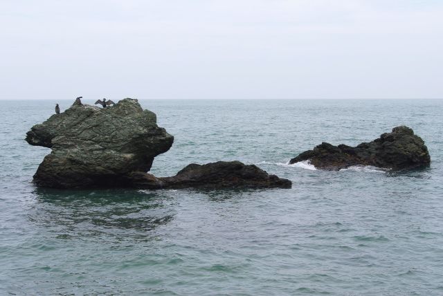 地平線へ続く広い海と岩に止まる鳥。