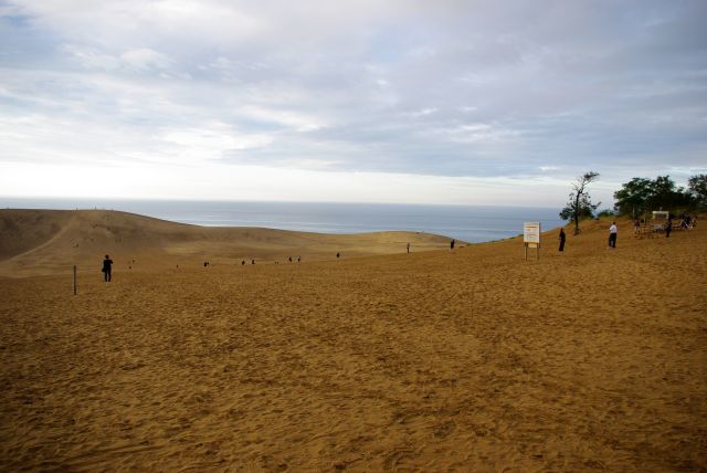 不思議な鳥取砂丘でした。