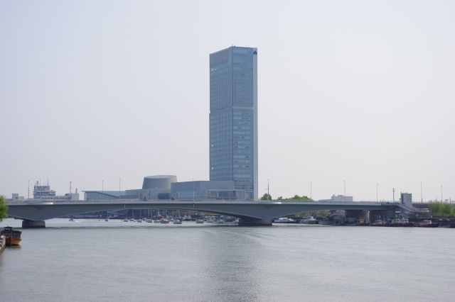 河口側には柳都大橋の先に朱鷺メッセ・万代島ビルが目をひきます。高さ143m、本州日本海側で最も高い高層ビルです。