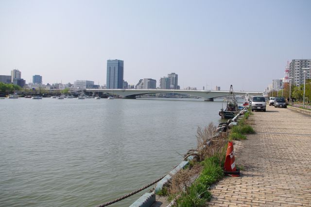 柳都大橋を振り返る。幅広い信濃川にすぐ手が届きそう。