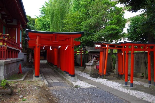 拝殿右には鳥居が並ぶ。京都の伏見稲荷大社を思い出す。