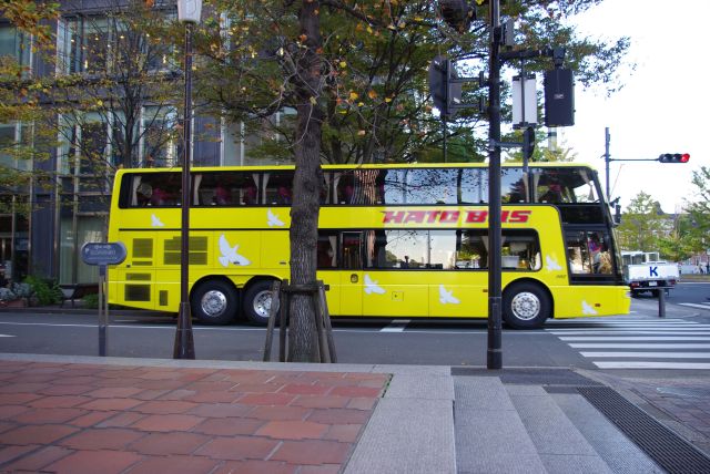 街中には「はとバス」が走る。