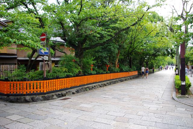 白川南通はテレビでも良く使われる京都らしい風景。花見小路と比べ静かで落ち着いた雰囲気。