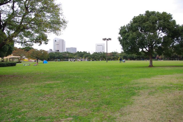 京葉線近くには広い芝生の公園が広がる。