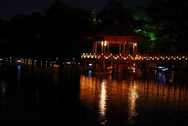 暗闇の中、池はボートがたくさん。