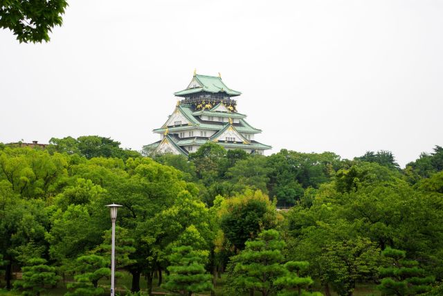 林の先の大阪城。