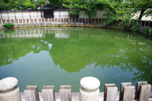 北鐘堂横の丸い池。