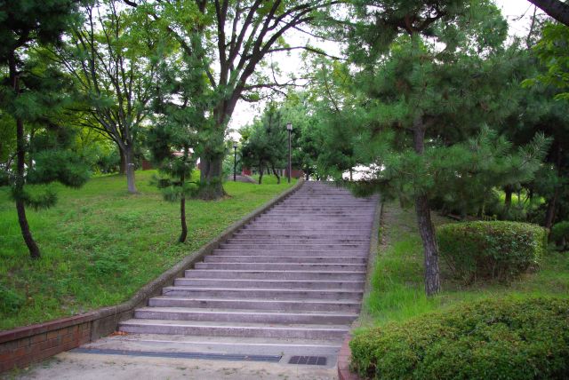 公園内の登り階段。こちらの方が「山」感が。