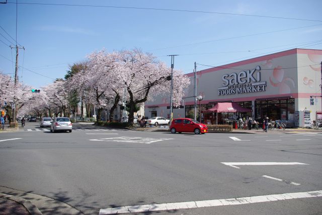 桜色のスーパーとの共演。