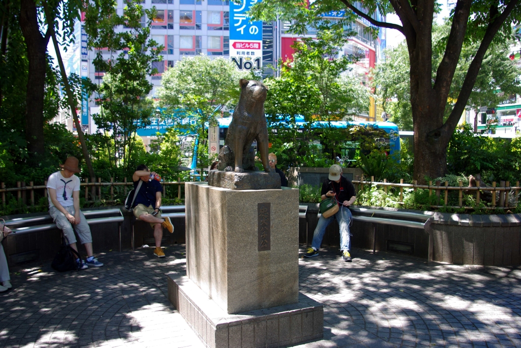 写真24枚 渋谷駅 ハチ公前 ヒカリエ前 東京都 全国風景写真 みやだい