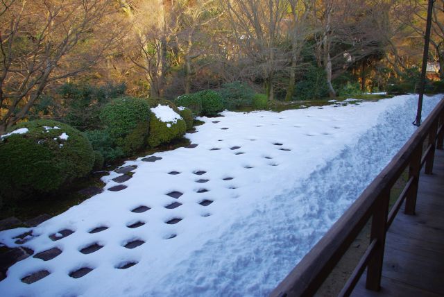 北庭、雪が石を避けて市松模様を作る。