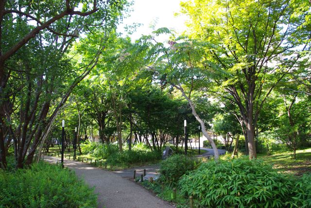 聖路加国際大学の緑豊かな庭へ。