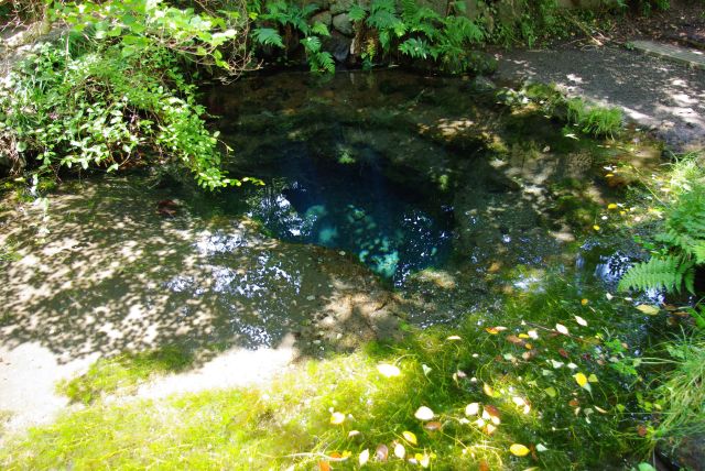 お釜池は小さいものの深さがあり、青く見えるのが幻想的です。
