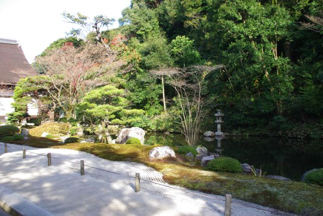 池泉回遊式の庭園。