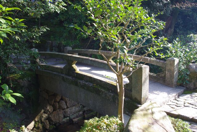 山亭庭園へと斜面の石段を登っていきます。