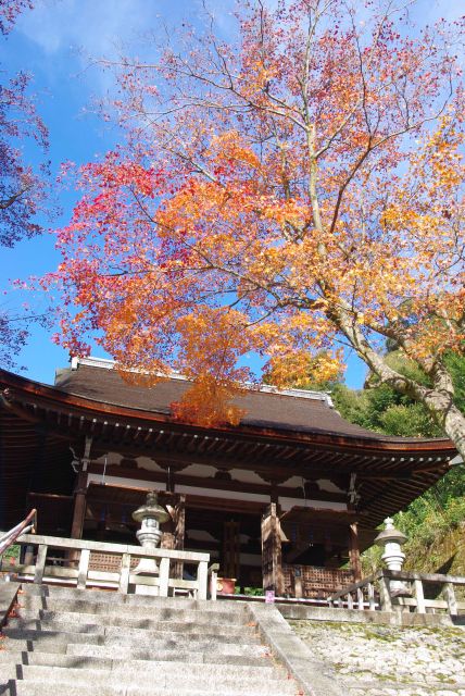一層高い所に法然上人御廟、鮮やかな紅葉が覆う。