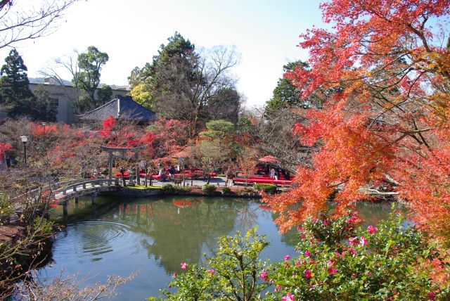 永観堂（禅林寺）の紅葉の写真ページ