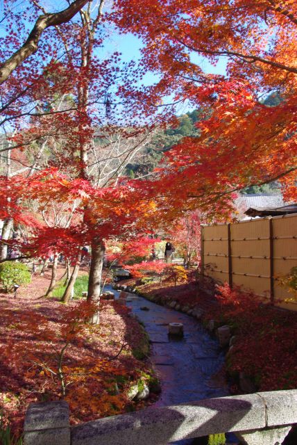 小川と紅葉も風情。