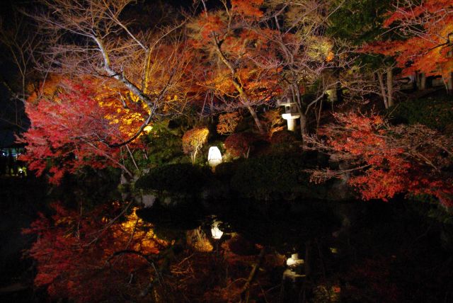 夜の黒い池に紅葉が映り込む。