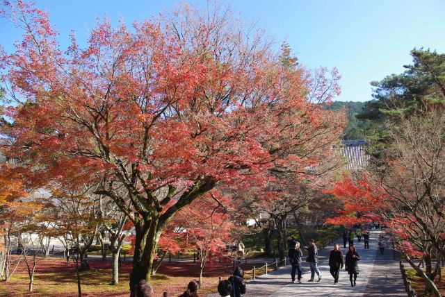 南禅寺の紅葉の写真ページ