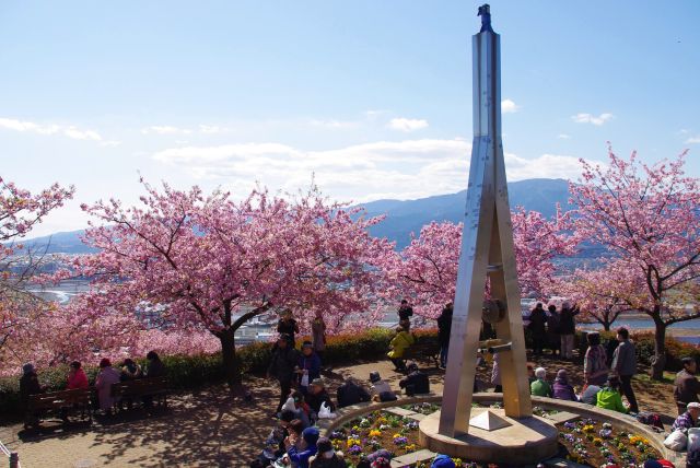 松田山の河津桜の写真ページ