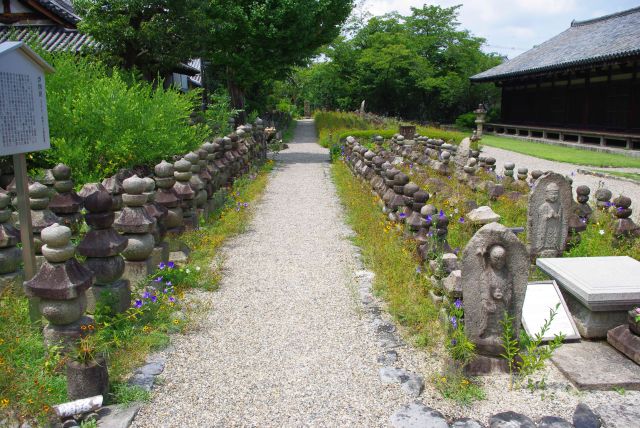 浮図田には石仏が並ぶ。