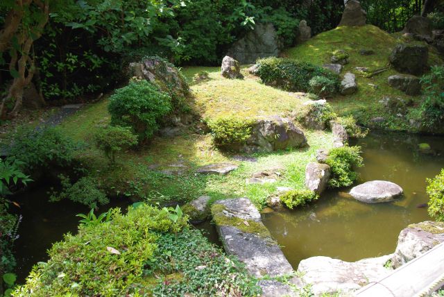 小さな池のある庭園。