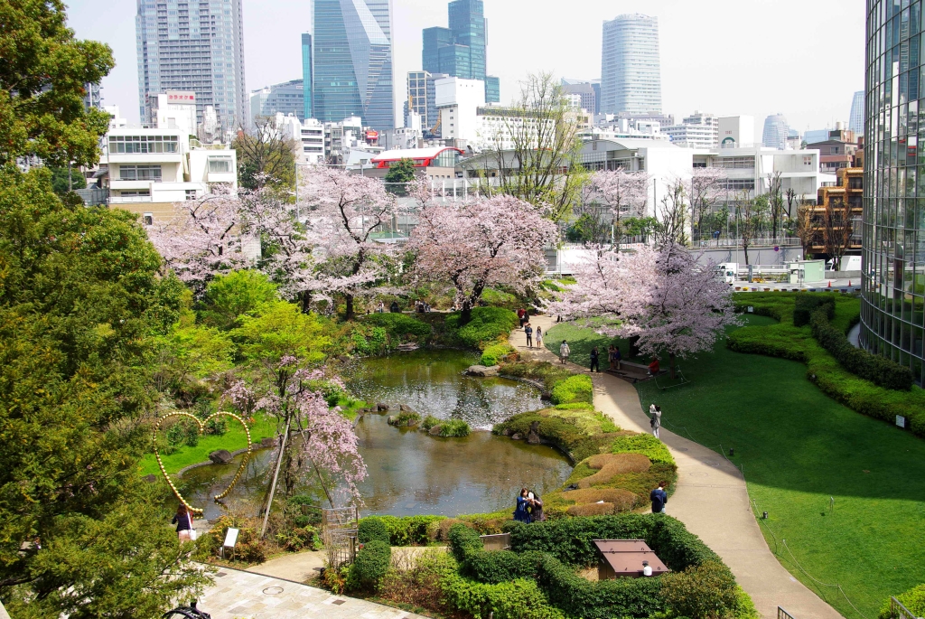 写真12枚 毛利庭園の桜 東京都 全国風景写真 みやだい