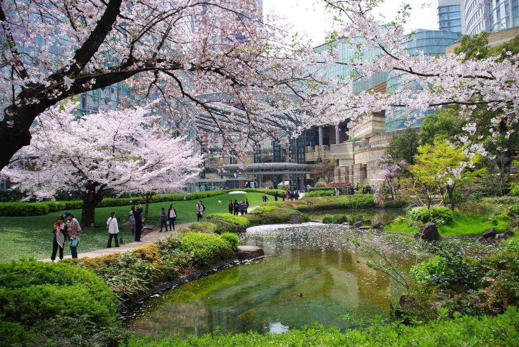 写真12枚 毛利庭園の桜 東京都 全国風景写真 みやだい