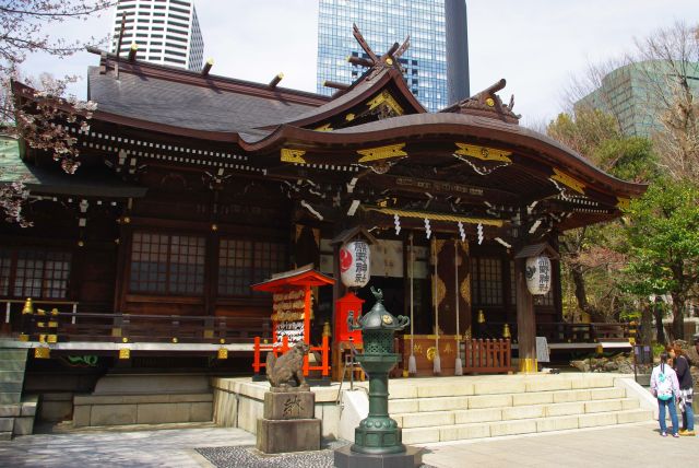 改めて社殿へ。室町時代の鈴木九郎が紀州の十二所権現を移した祀ったと伝えられます。