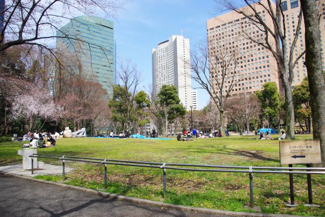 新宿中央公園の写真ページ