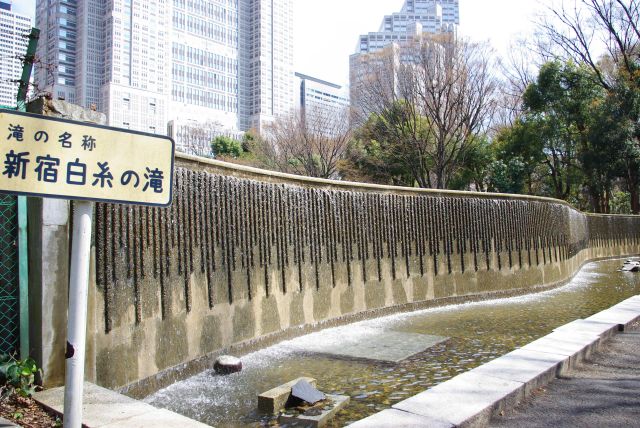 新宿白糸の滝。