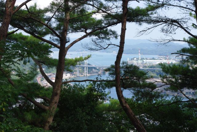 木々から覗く尾道大橋。