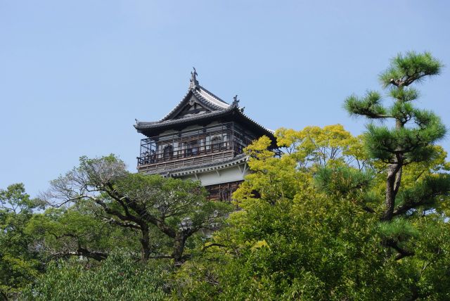 本丸の角の石垣の上に建つ広島城の天守閣が顔を出す。原爆で倒壊し外観復元されたもの。