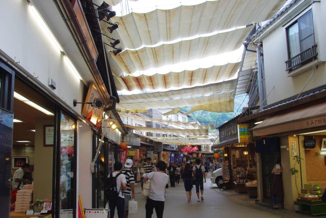 名物の牡蠣、穴子、もみじ饅頭のお店やお土産屋、民芸店が並ぶにぎわう商店街が続く。