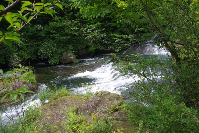 岩肌を流れる滝、涼しくて常に水の音が聞こえる。