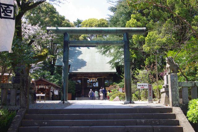 報徳二宮神社と桜の写真ページ