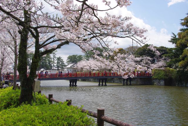 堀には赤い額橋、桜並木が続く。