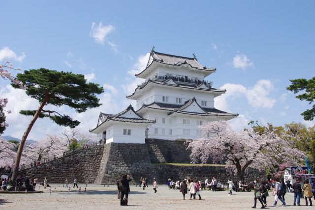 小田原城の桜の写真ページ